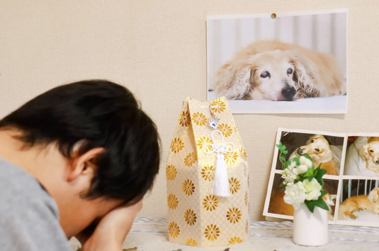 owner crying in front of his dog picture
