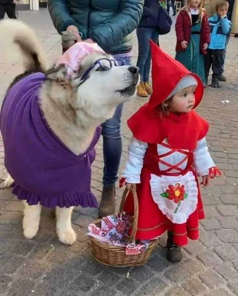 photo of Agata and Yanuk dressed up