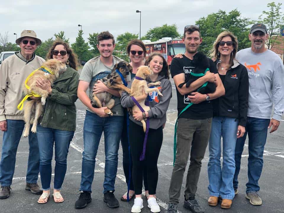 photo of a group of people holding dogs
