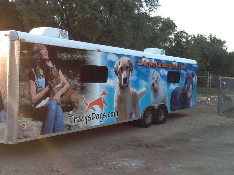 photo of tracys dogs trailer
