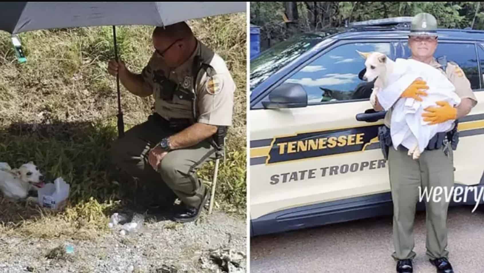 police officer with dog (2)