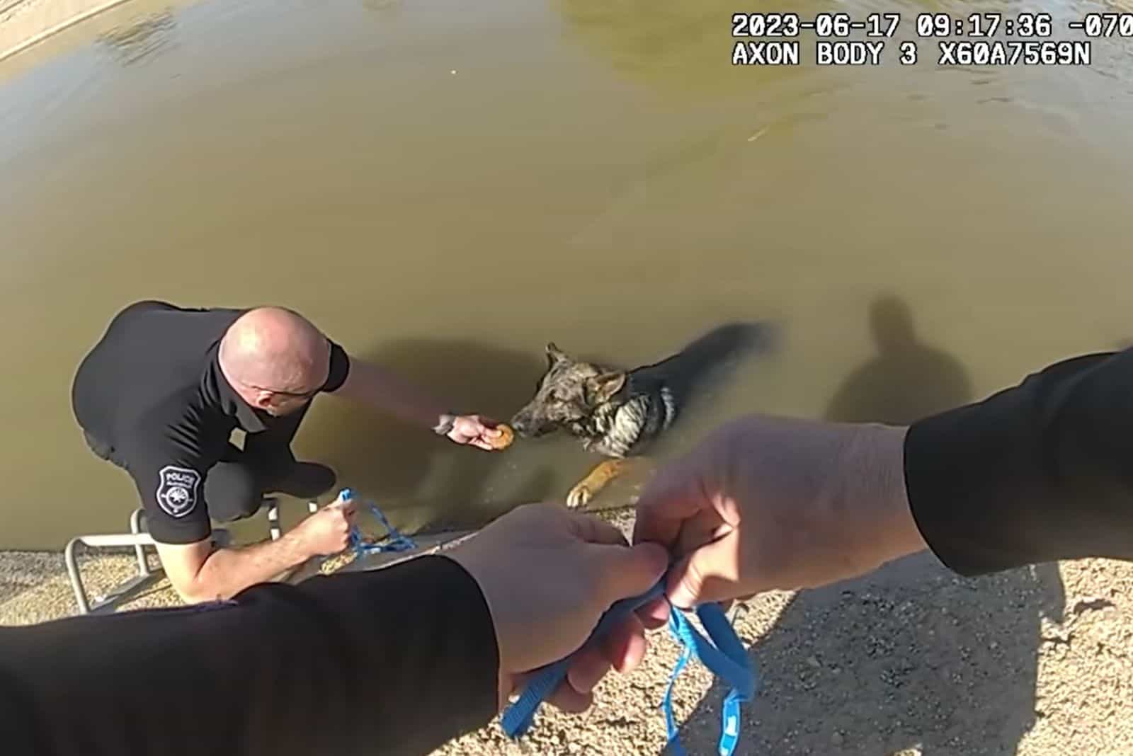 policeman rescuing dog