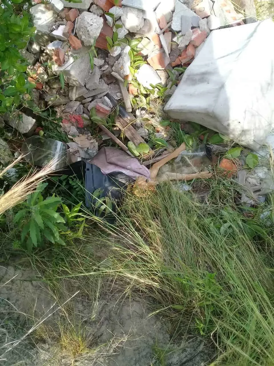 pobre cachorro en la basura