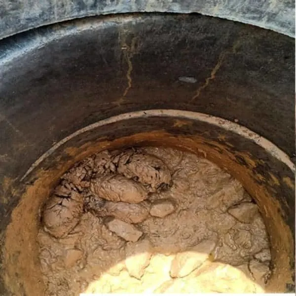 puppies lying down in a muddy well