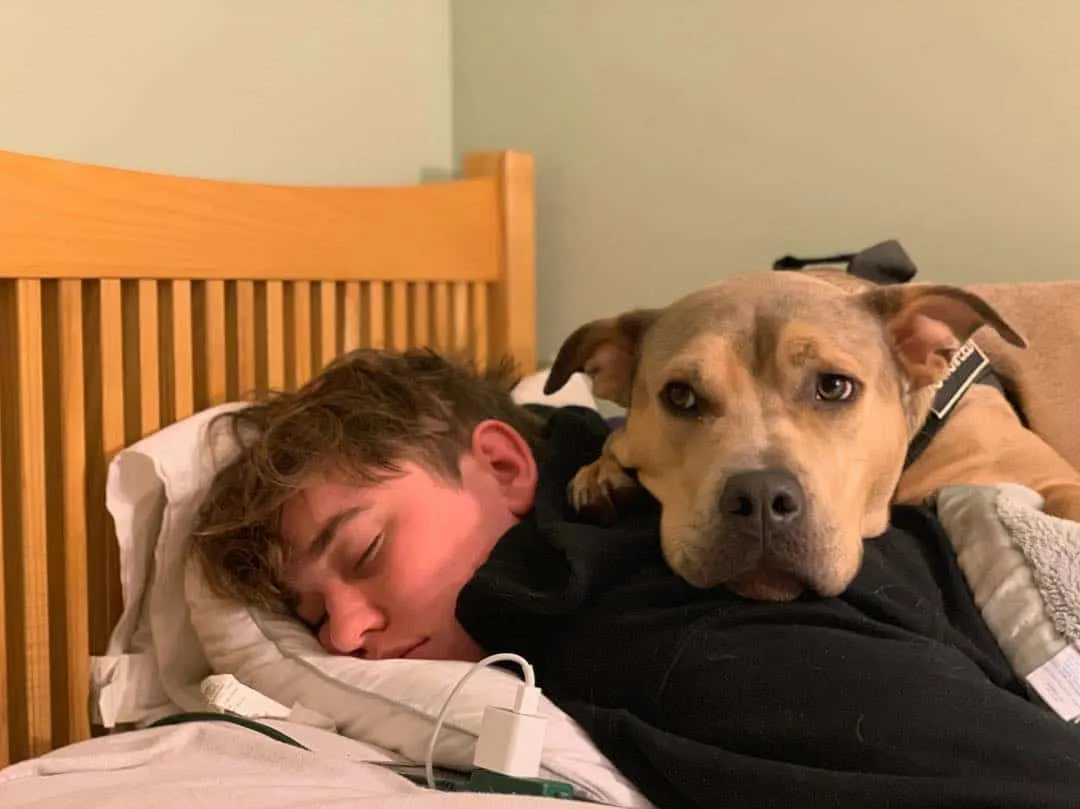 perro rescatado durmiendo con su dueño