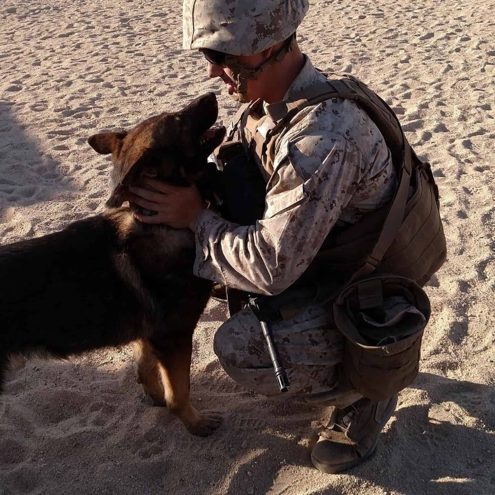 soldier hugging german shepherd dog after reunion