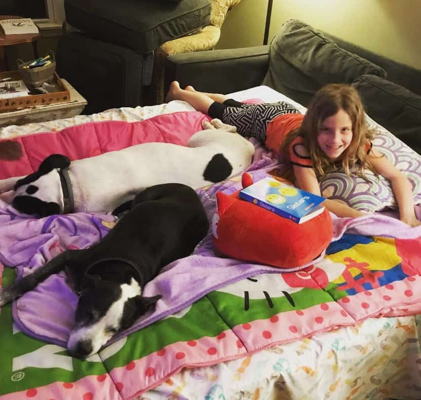 the girl is lying next to two sleeping dogs on the bed