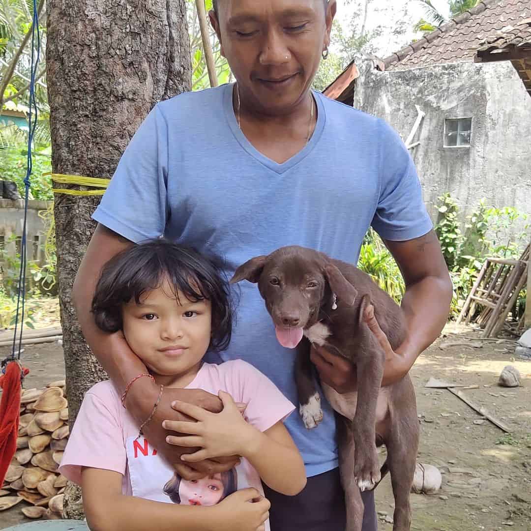 tilly the anemic puppy with her new family