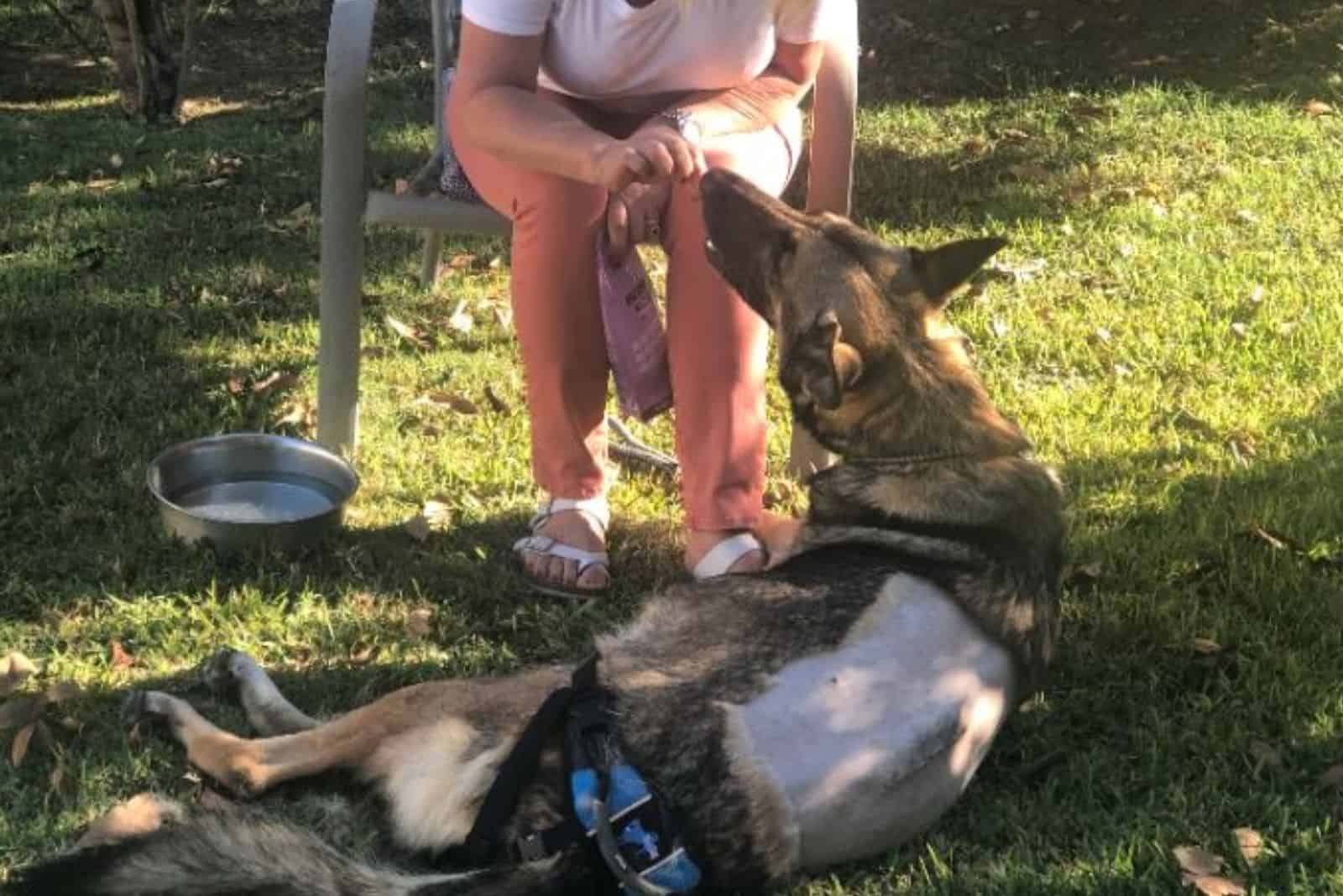 woman feeding Hannah on the grass