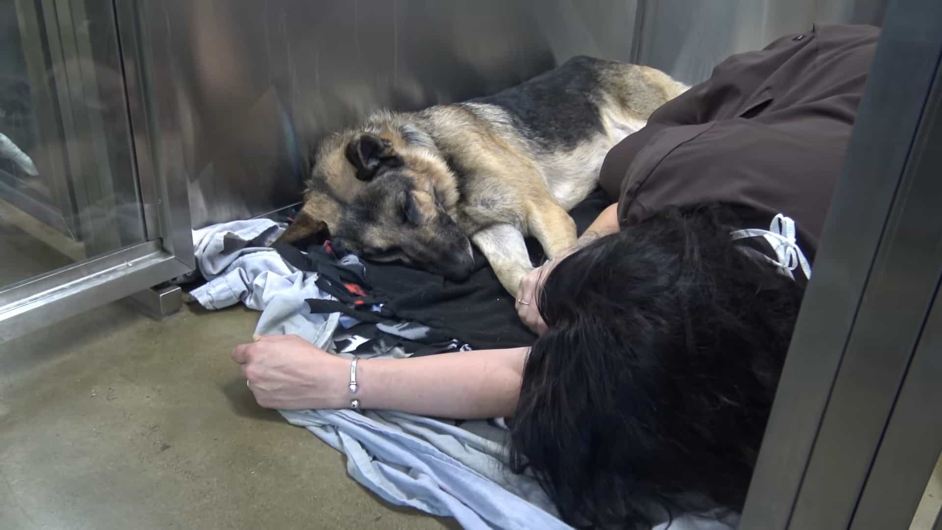 woman lying beside german shepherd dog on the floor