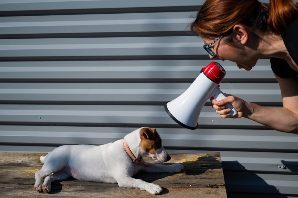 woman yells at a lying dog through a megaphone