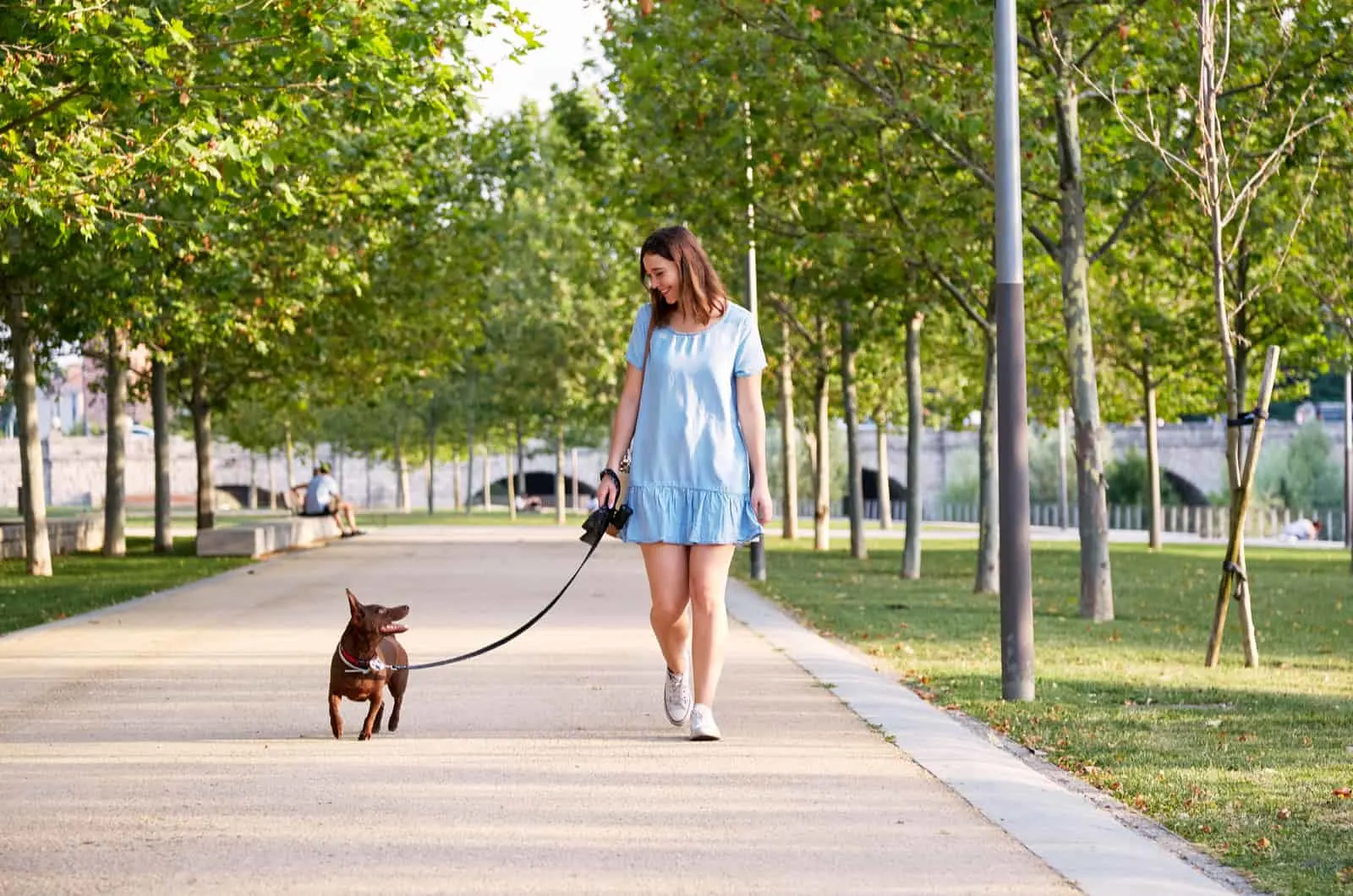 young cheerful girl in blue dress walks with her dog in a city park