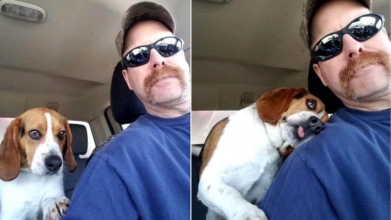 photo of a man and a rescued dog