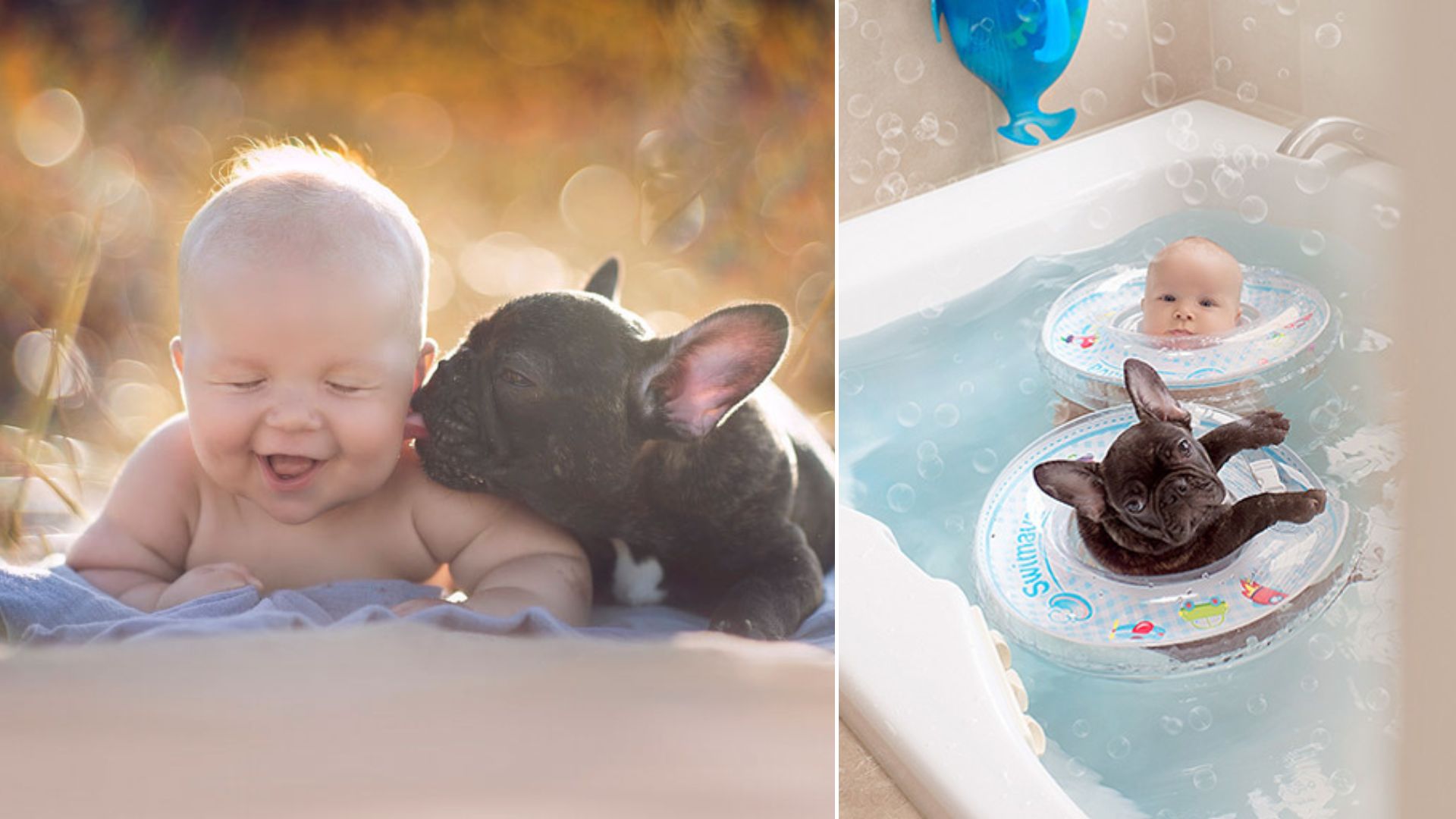baby with dog