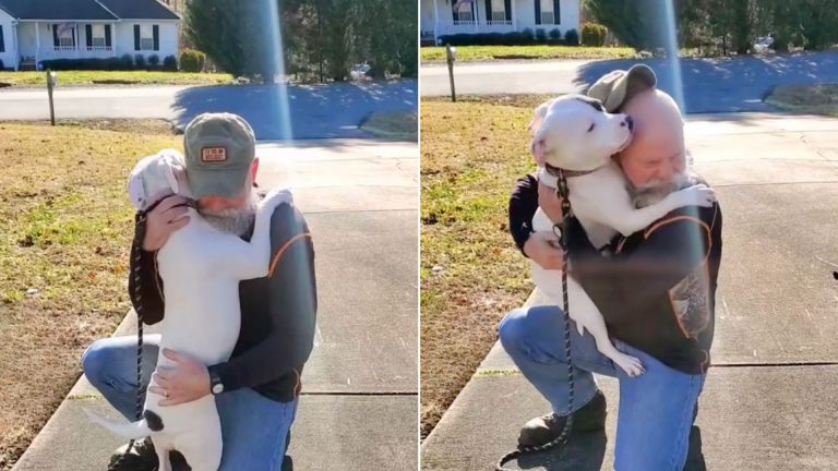 rescue dog with his owner