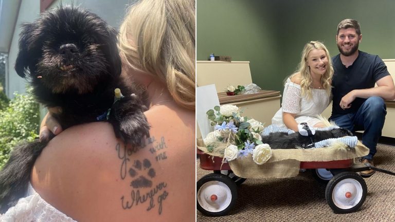 a couple holds a wedding at the vet with their dog