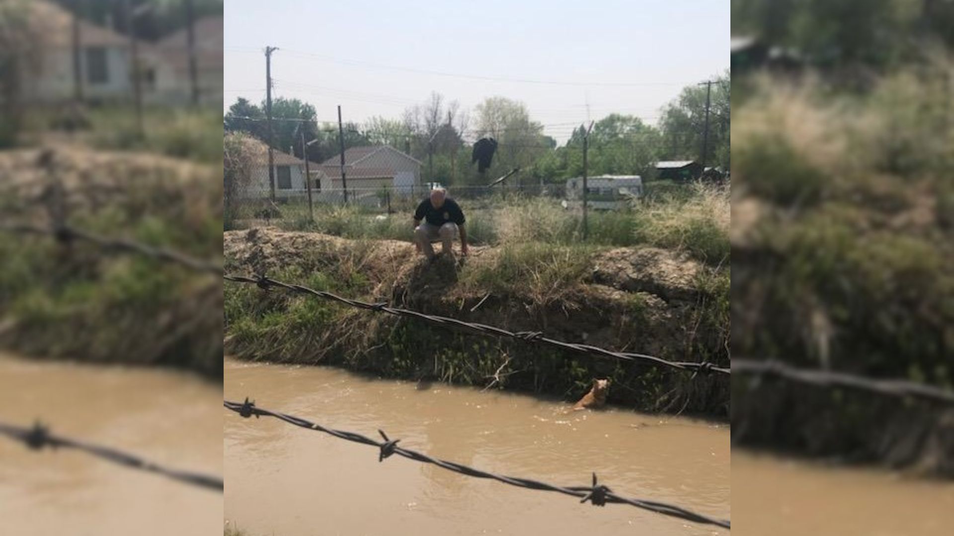 man trying to help the dog in a canal