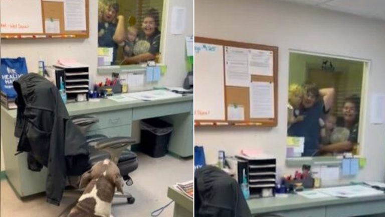 Dog Goes Missing For 10 Months And Returns to His Family