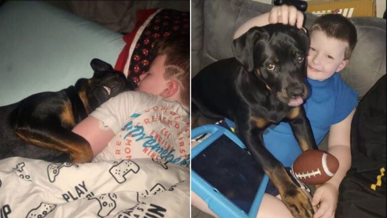 the dog likes to cuddle with his human brother