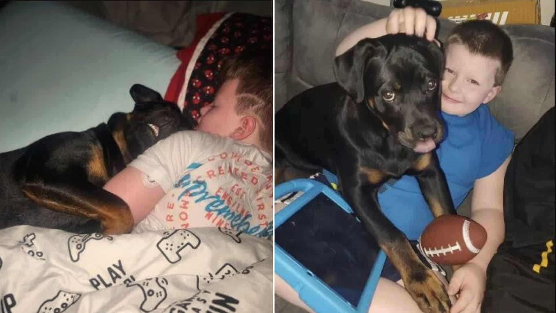 the dog likes to cuddle with his human brother