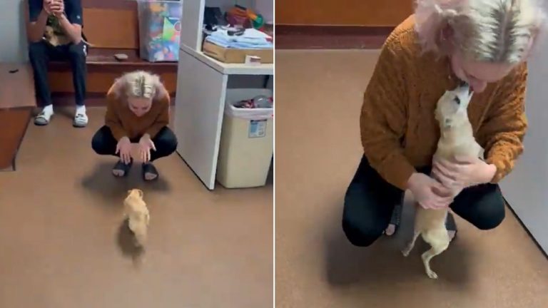 woman holding a missing dog