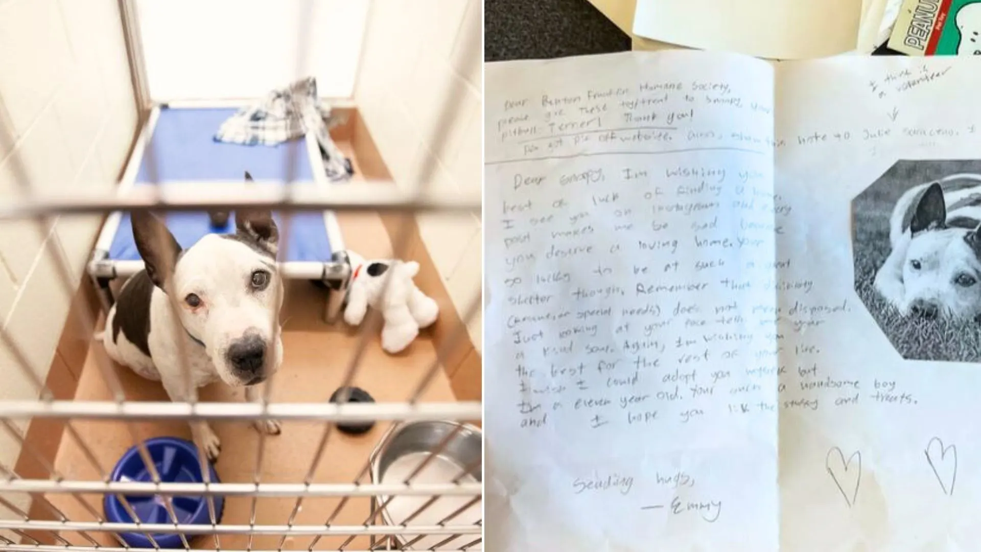 Un perro que pasó 650 días en un refugio buscando familia recibe una nota inesperada