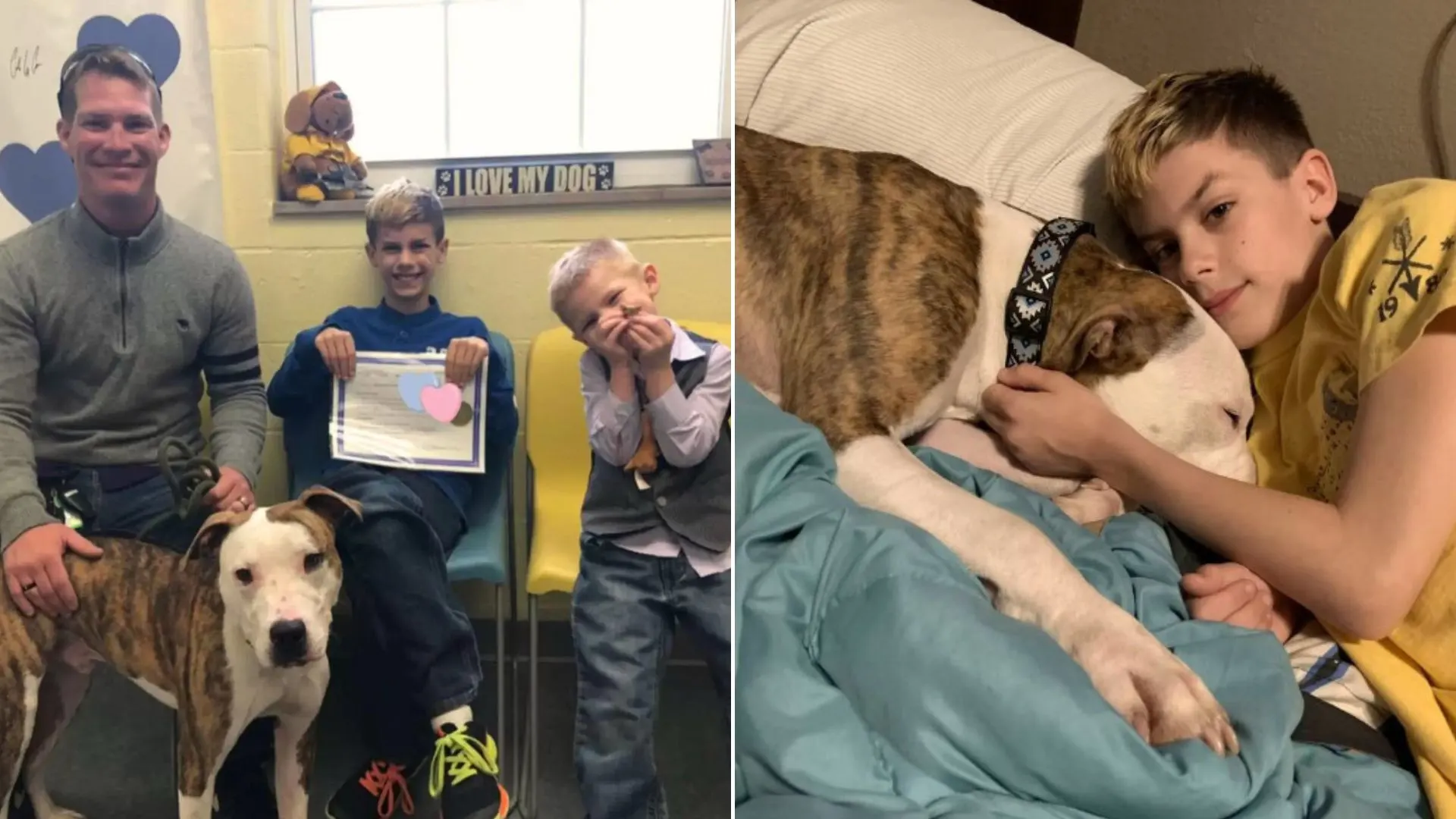 photo of the adopted boy and dog with their new family