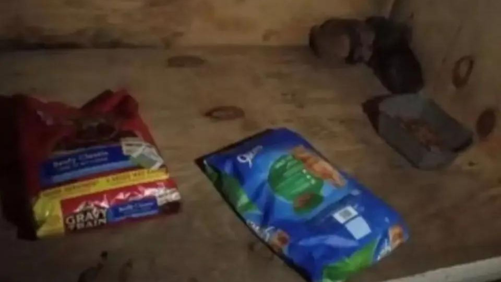 two bags of dog food