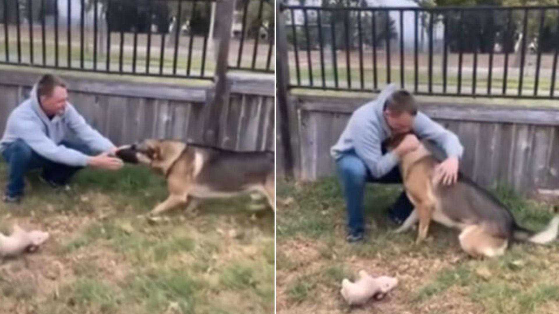 military man and german shepherd