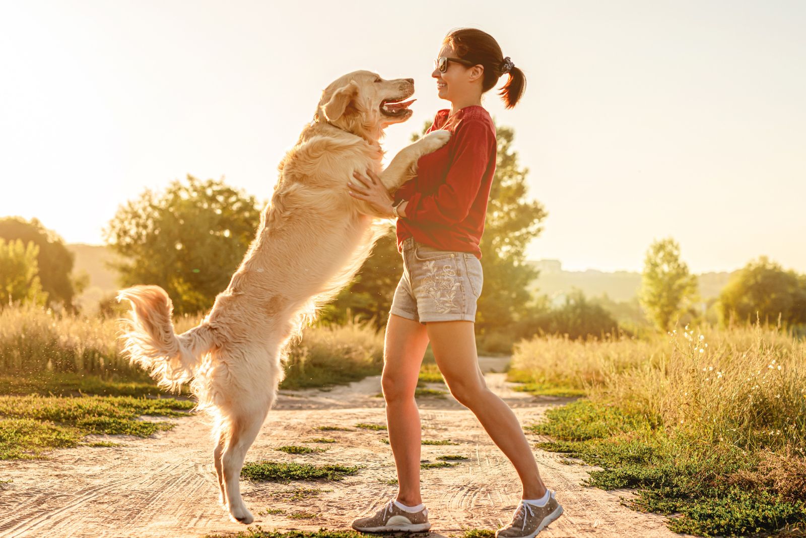 Golden retriever jumping on woman during walking