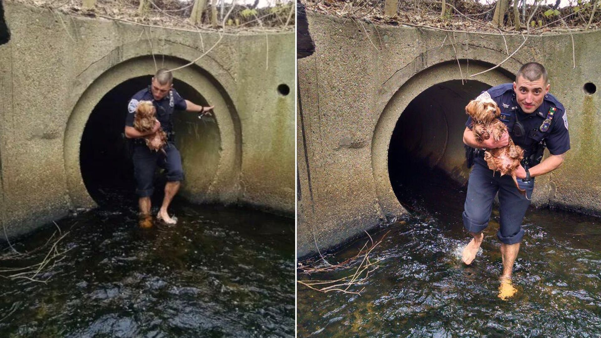 officer walking out of culvert with a dog