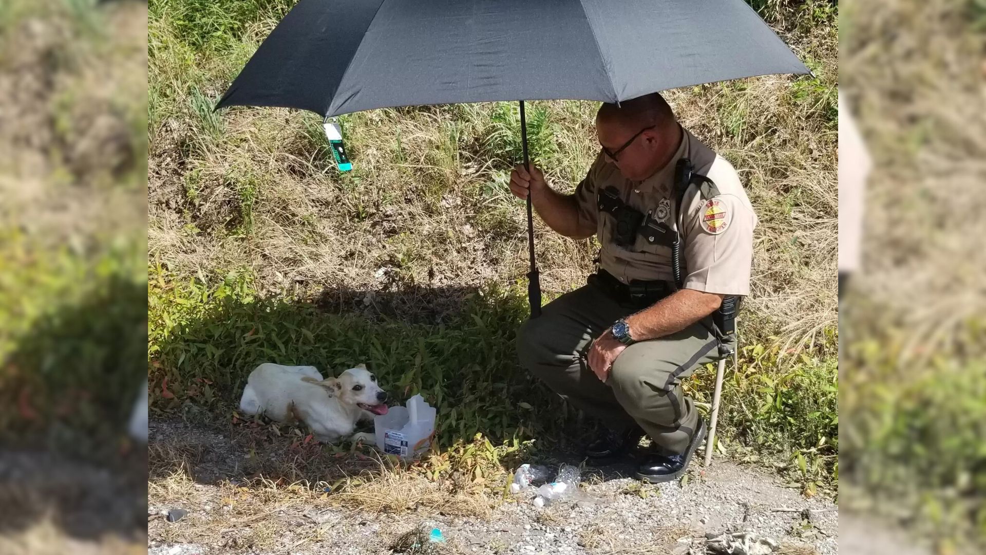 police officer making a shade with umbrella for a dog