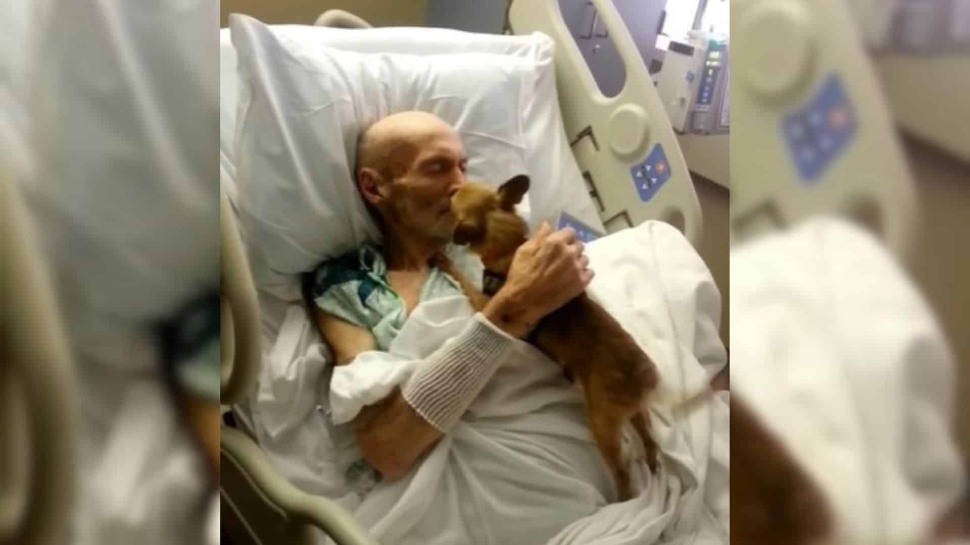 sick man in hospital with his dog