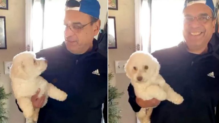 the husband took the wrong dog