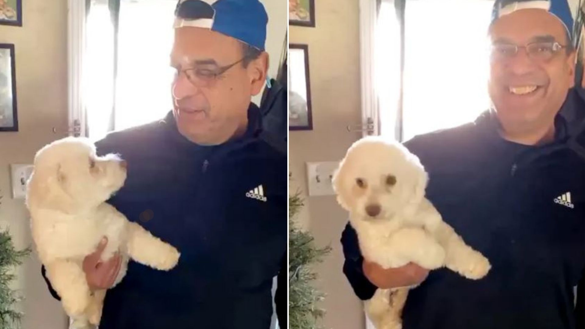 Witness This Hilarious Moment Where A Dad Mistakenly Brought The Wrong Dog From A Groomer