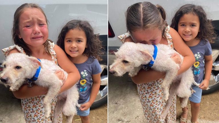 little girl holding a dog and crying