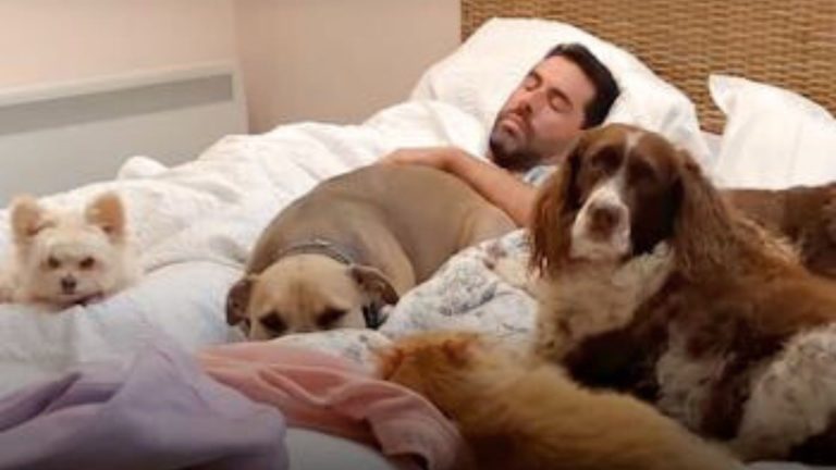 man sleeping with his pets