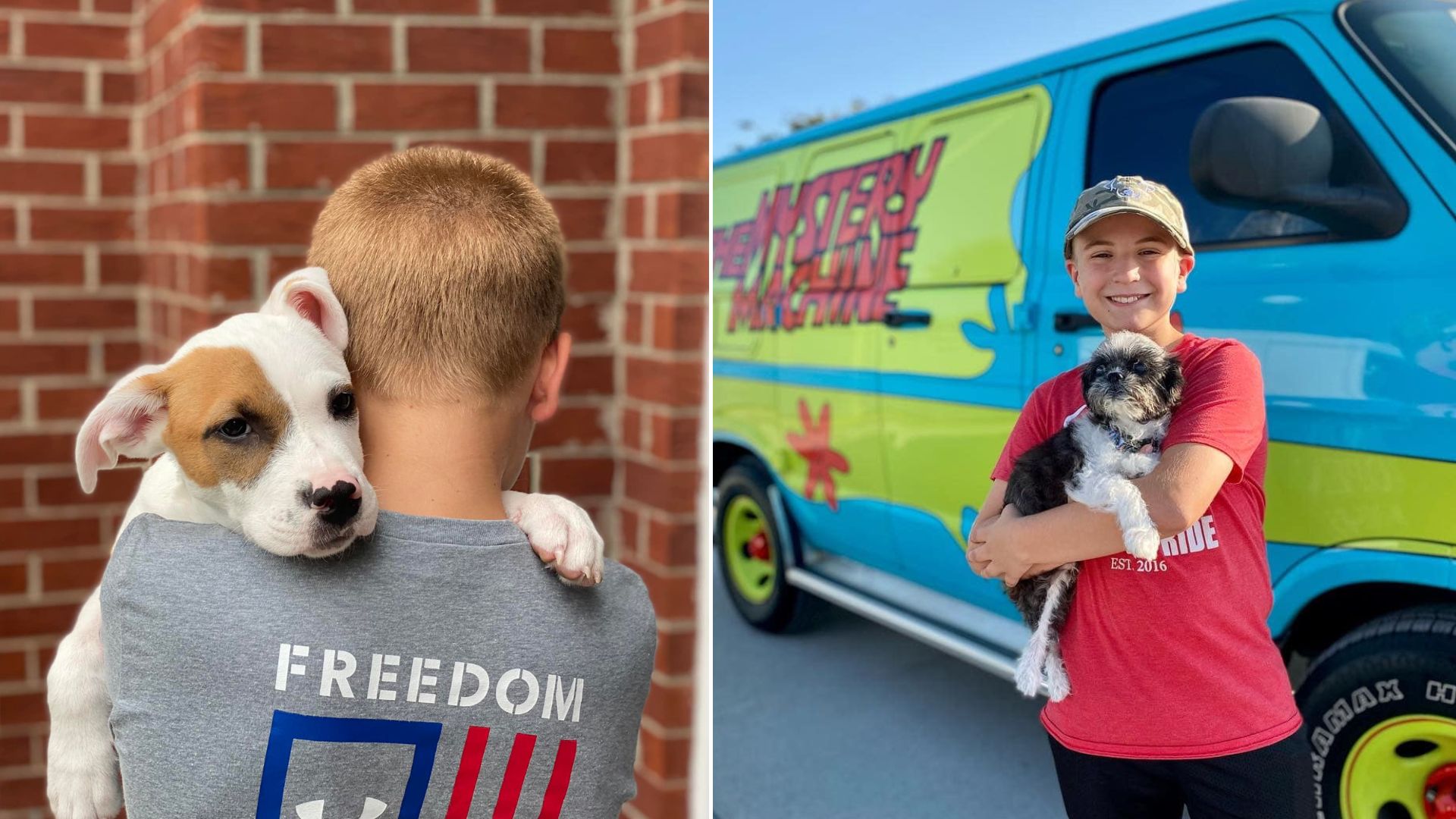 boy dog whisperer holding a dog