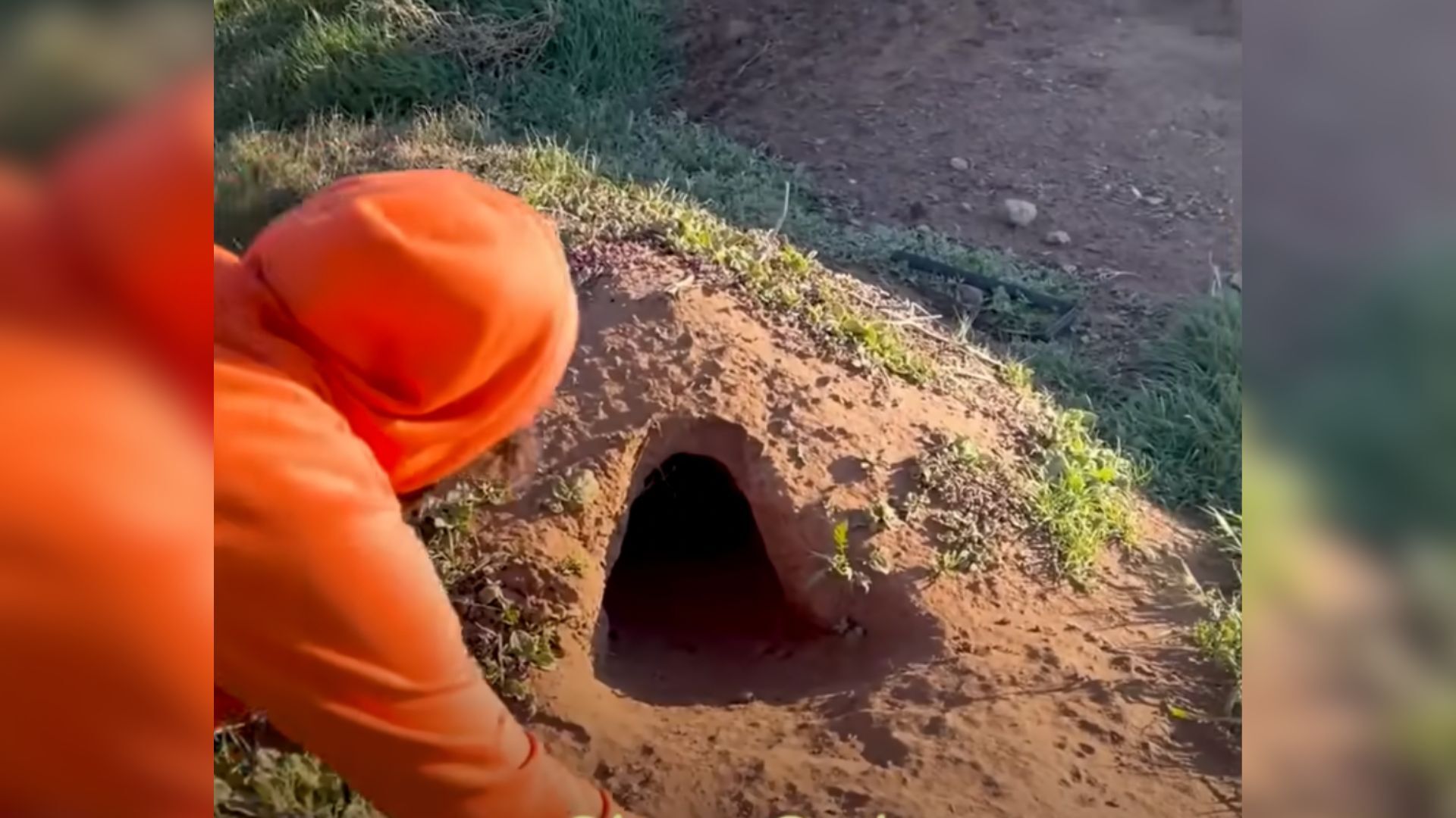 Rescuers Found A Litter Of Puppies In A Hole But Noticed Their Mom Is Not With Them So They Tried Something Creative