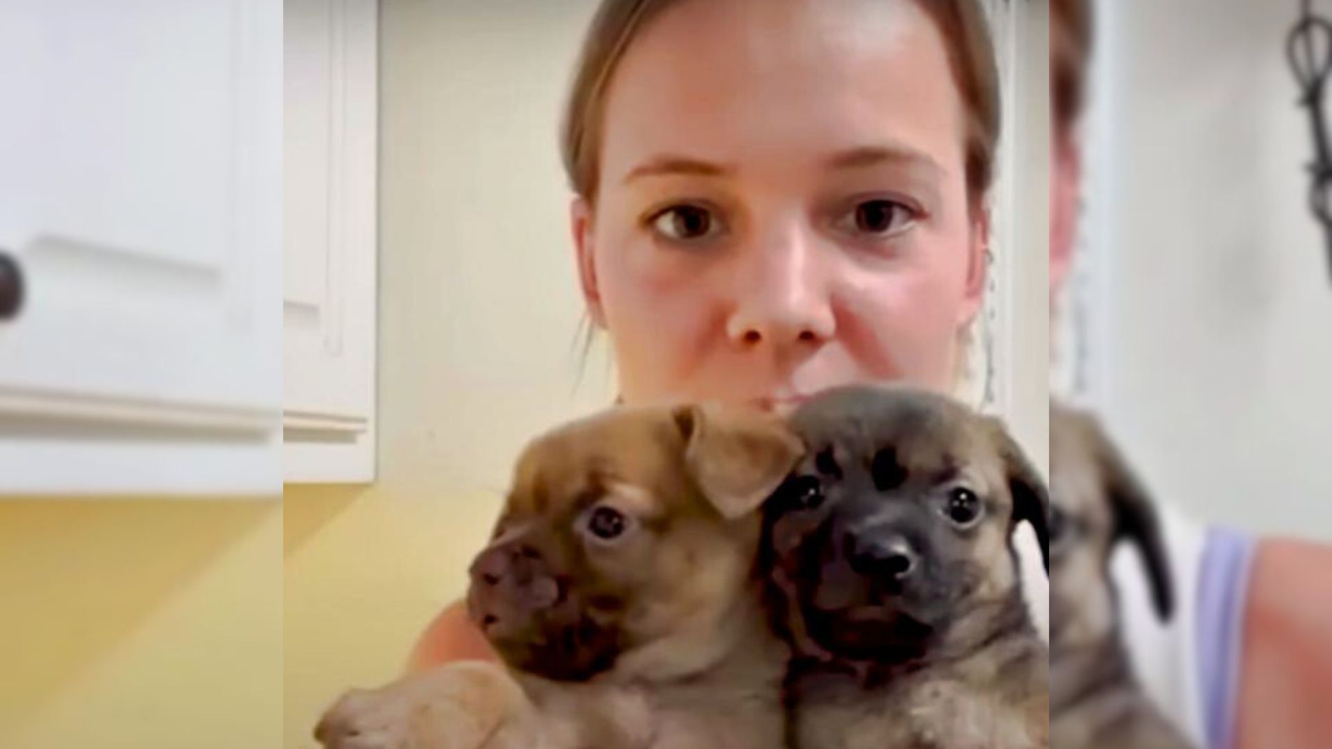 woman holding orphan puppies