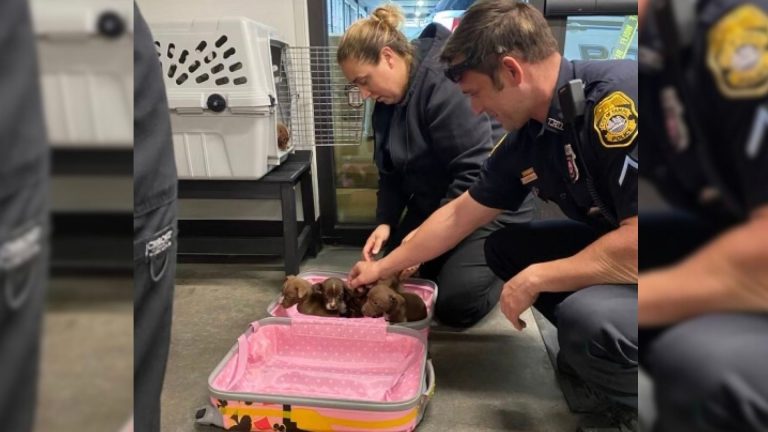 police officers and suitcase