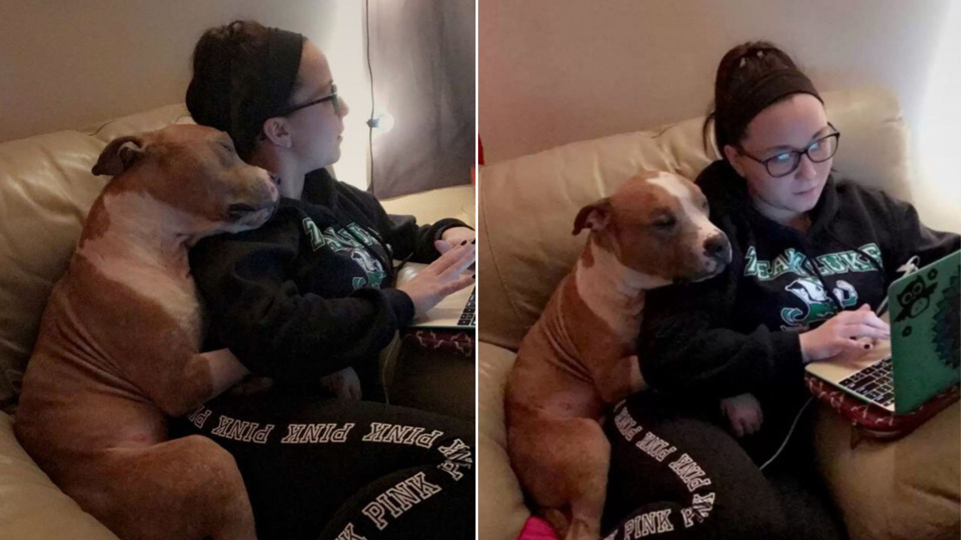 Sweet Pittie won't stop cuddling her mommy