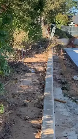 a dog lying on the side of the road