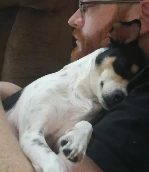 a dog sleeps on a man's shoulder