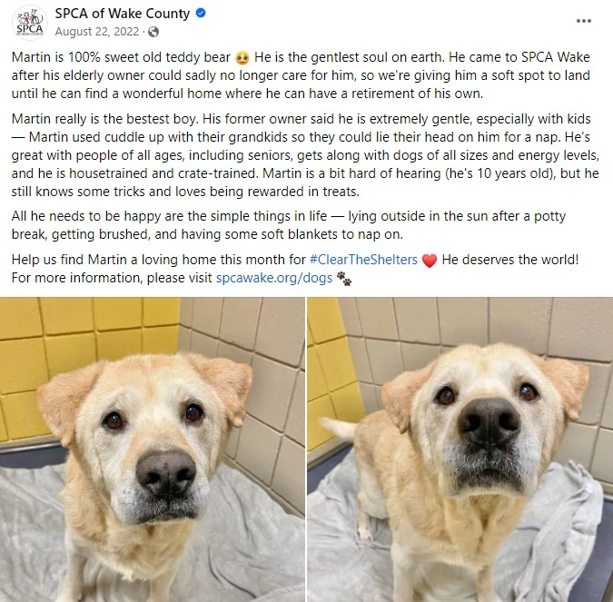 A Facebook post about an abandoned dog