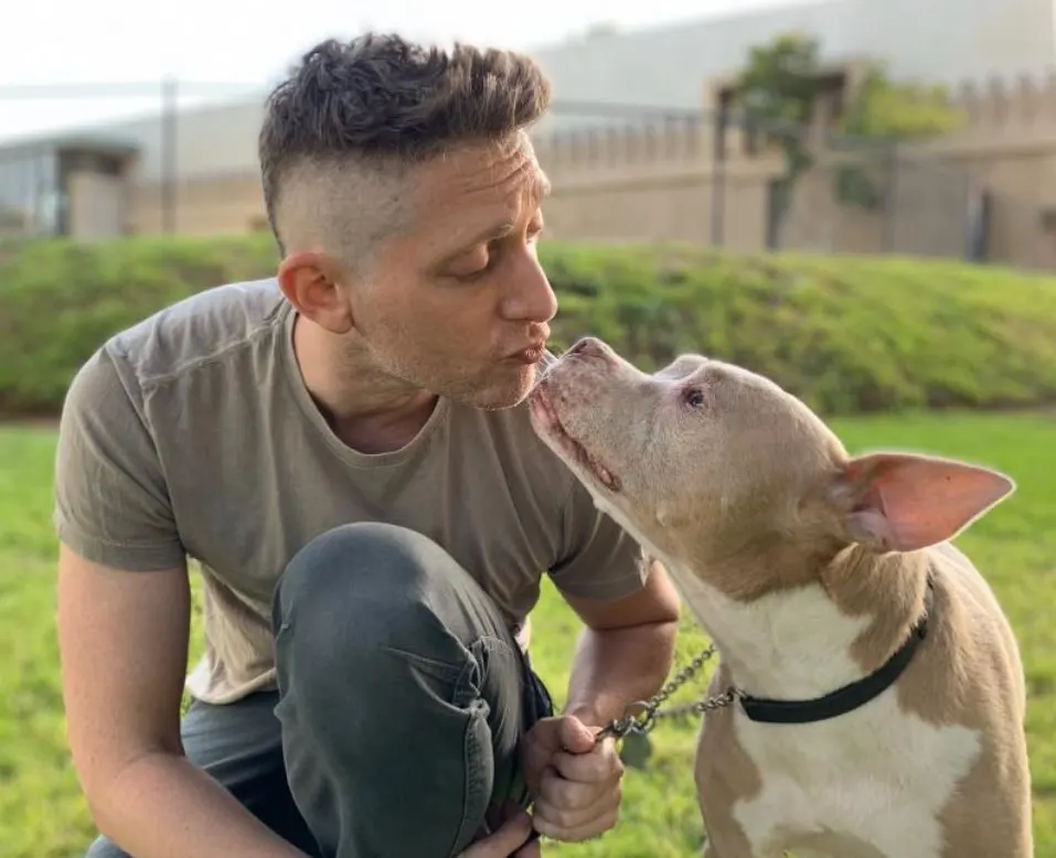 a man kisses a pit bull