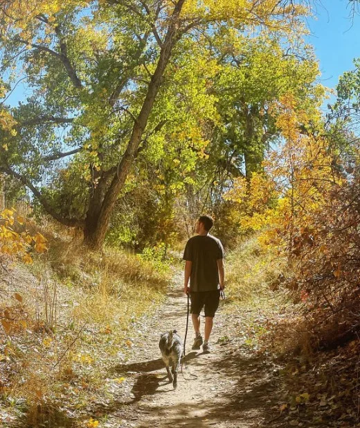 un hombre caminando con su perro en el bosque