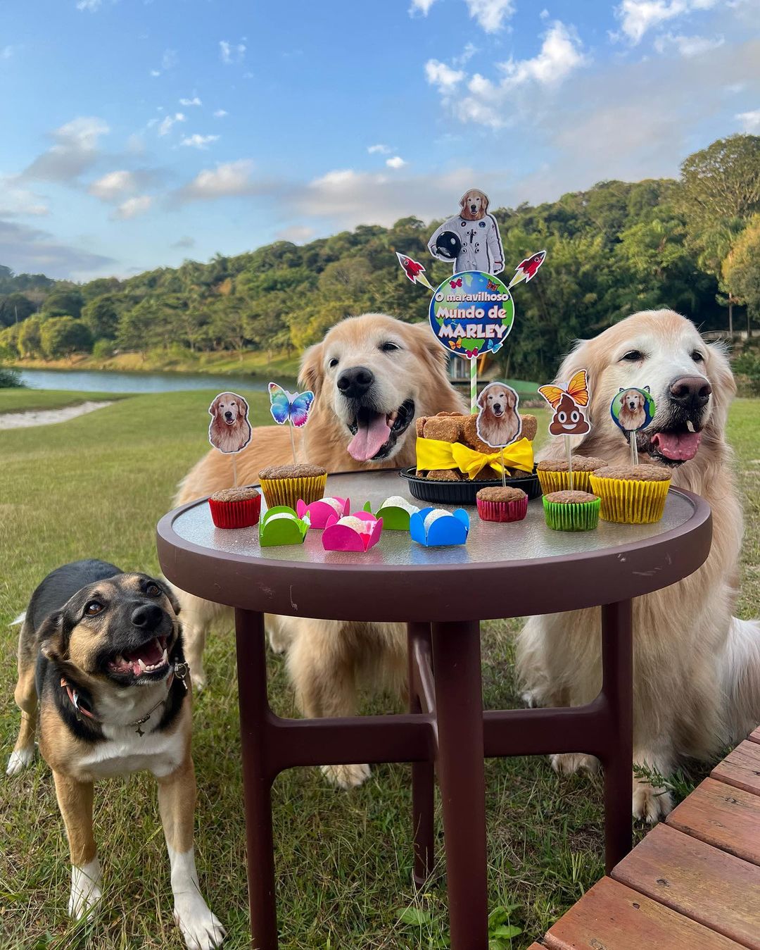 bob with other dogs standing by a table with cupcakes