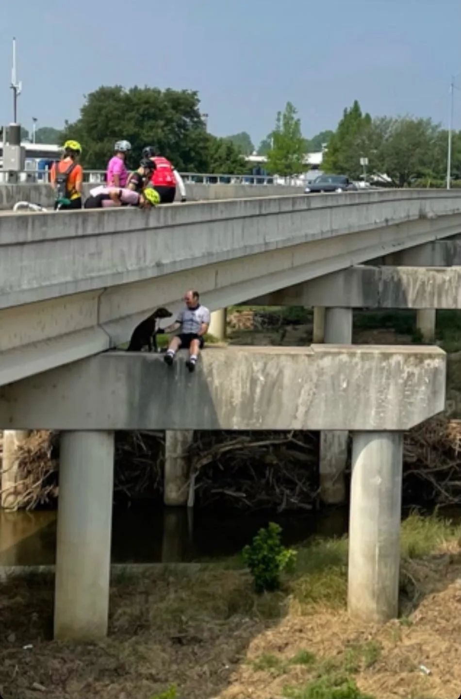 dog and cyclist sitting stranded on bridge