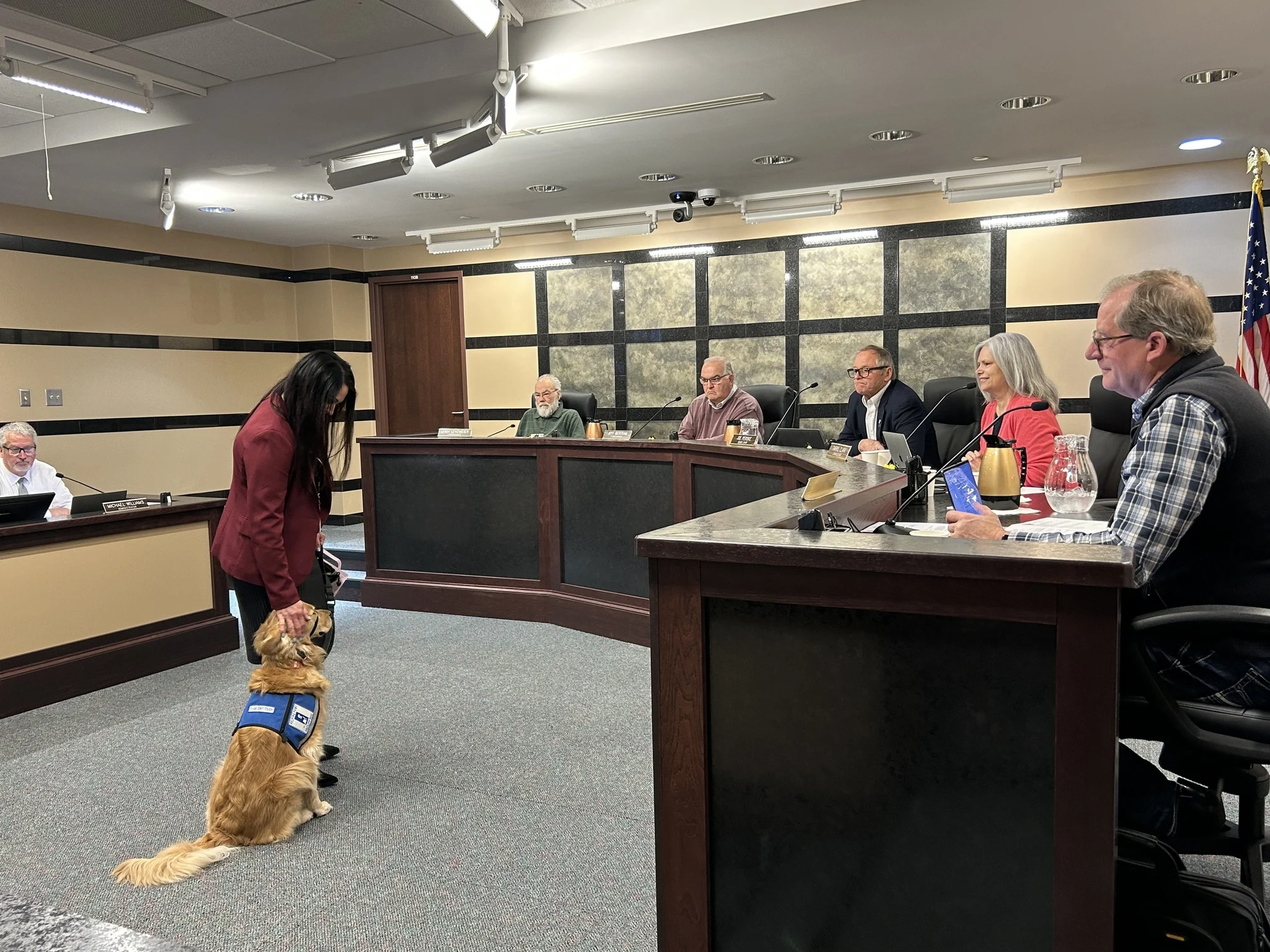 dog in front of judges